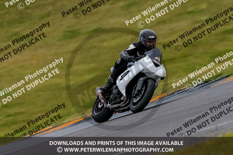 PJ Motorsport 2019;anglesey no limits trackday;anglesey photographs;anglesey trackday photographs;enduro digital images;event digital images;eventdigitalimages;no limits trackdays;peter wileman photography;racing digital images;trac mon;trackday digital images;trackday photos;ty croes